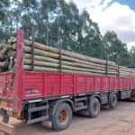 AF1QipM37qeCZtEdXP9b 3y 5PnYtrw4stUVHxBNBLFw408 h306 k no