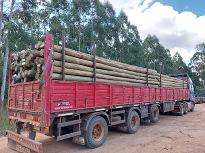 MADERAS MESOPOTAMICAS SRL - Juan Pujol 1 AF1QipM37qeCZtEdXP9b 3y 5PnYtrw4stUVHxBNBLFw408 h306 k no