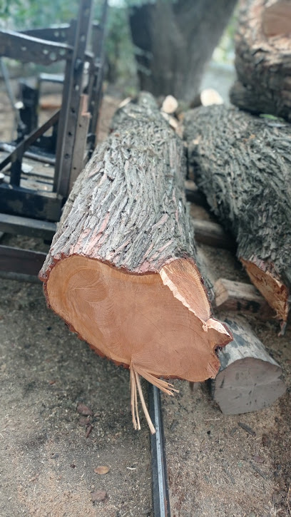 AF1QipM3AsBV4rF5jQ3XZAb4guG0eb7 CWBX5fMS NQ2w408 h725 k no 1