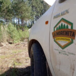 La Morenita Aserradero y Servicios Forestales - Chavarría 6 AF1QipM6MceMwk1aKuNdM rAUs7dl5T84AGcHmhOTrbLw408 h306 k no