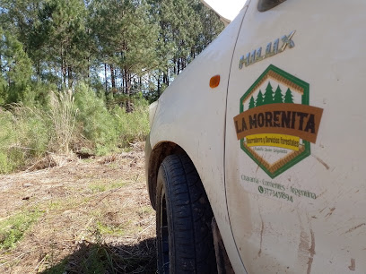 AF1QipM6MceMwk1aKuNdM rAUs7dl5T84AGcHmhOTrbLw408 h306 k no