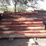 AF1QipMPgsUbLrTufeEtf jQ8dLPmIRRKyQhfrl7BKdnw493 h240 k no