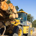 AF1QipMU1166STY 2XYNpFhvWkepAW6cOP41CVWrSjZXw408 h271 k no 2