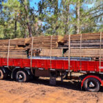 AF1QipMheJyDUm3qipdYru TTnMjSGIfcXBU0A11qyovw426 h240 k no