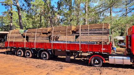 AF1QipMheJyDUm3qipdYru TTnMjSGIfcXBU0A11qyovw426 h240 k no