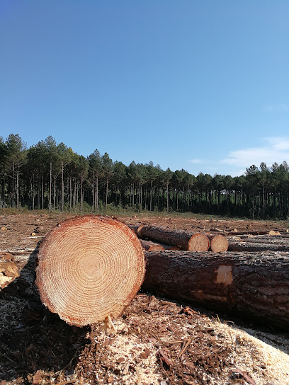 AF1QipMjvhxFN vaqWy7u27MdGnEwgJW0kqhBzkD1ALow408 h544 k no