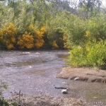 Aserradero Loyola - Aldea Escolar 13 AF1QipMlGcYyyl1AbSEYcTe06wmyIv9zP0vlR7n7DD9Pw480 h240 k no