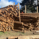 Maderera del valle - Él mollar 7 AF1QipMmRCV KMsgOUavALwshbPZFU0e PJzGRnrl0grw426 h240 k no