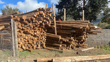 AF1QipMmRCV KMsgOUavALwshbPZFU0e PJzGRnrl0grw426 h240 k no