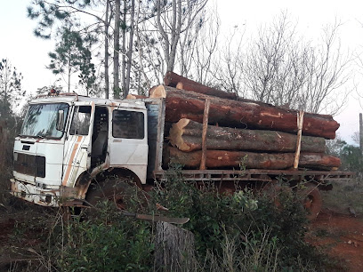 AF1QipMpXuQTXXIUH61aGvl4r2 nMpr5rI1A1 7t5bP4w408 h306 k no