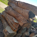 AF1QipMppnxj2eVoIXob2BijAGaXRdoUQrpl1o5ev7Jtw408 h544 k no