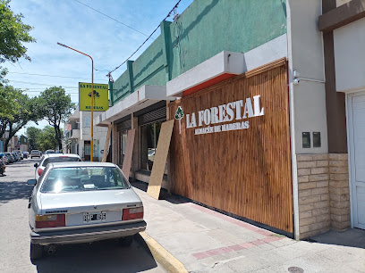 AF1QipMtDzF6d9FyHo L9dKxIawlSlzXCX9b3TxjpLY1w408 h306 k no