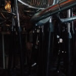 AF1QipN08LDTs3OstMzdN2BIrV6N156oCrjnLKvjaoLew426 h240 k no