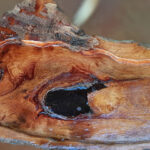 AF1QipN0WY3uJ0V0cOQ0VbiSf3GDVBeufitoXFf2YF2jw426 h240 k no