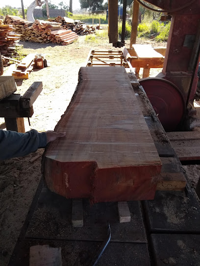 AF1QipNIfsXGKpdDJKyesygos7Lpvld nnJxZAy88toXw408 h544 k no