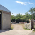 AF1QipNLesquNYV6Oe35z40I4lvIuyvd BA6E11cn3 vw426 h240 k no