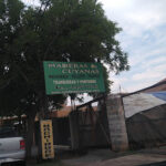 AF1QipNMfG3JQ6zZAUOX5n9kszyhZOLv7BkMN0YBn3cuw426 h240 k no 1