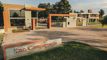 AF1QipNRy3OElpQ8tGrzgDU6rBOnkpp04aNIGoAwqgh7w427 h240 k no