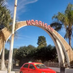 AF1QipNZ69rDHr9hSm3CDGgfL EQtia0LvuVpOl7 0mFw426 h240 k no