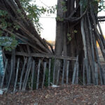 AF1QipNeWPimmxkoW2ldMTcc zYUlYWiTMuUjWYpw 16w426 h240 k no