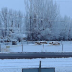 Leñas don Miranda - Colonia Las Rosas 2 AF1QipNnUlI XS18DQJ9C 9RKk uNrlUNE3m3gfwJZb1w408 h306 k no