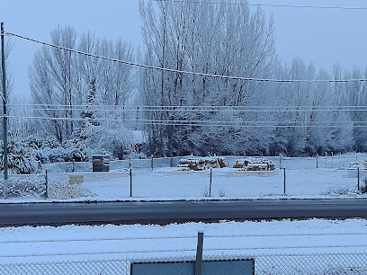 AF1QipNnUlI XS18DQJ9C 9RKk uNrlUNE3m3gfwJZb1w408 h306 k no