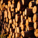 Dieminger Maderas - Huerta Grande 6 AF1QipNx4Mw0mhM UoiFOMG5Z 2QNCdEbJ7LBx8BzcYYw426 h240 k no