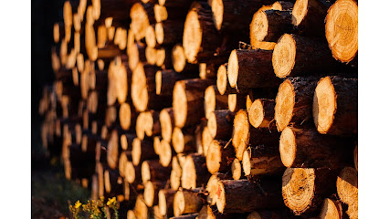 AF1QipNx4Mw0mhM UoiFOMG5Z 2QNCdEbJ7LBx8BzcYYw426 h240 k no