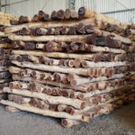 AF1QipO26tZkOQu42tHU0qk2KRskq1ih50rZaAN3cBEEw426 h240 k no