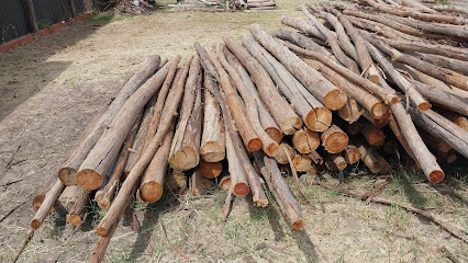 AF1QipO9 fJUSB51OKnXG5NYpbjYHIpnR0JwkEsGJ59gw426 h240 k no