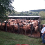 AF1QipOHcXrd9FJYalZfLDpLowMzL75VFe9OoOOe7WCdw408 h306 k no