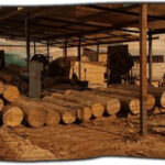 AF1QipOHn4Fnq3Pxcc5xANTPkEv2K uXPCFvmsabey8Ww426 h240 k no