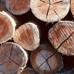 AF1QipOJrcQdjCdHNUXZMYR 3Tm zMZXrUbNHWRvVBkJw426 h240 k no