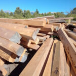 AF1QipOROUjI5Wwc5oCz uY7UWwYZO3s22zJMCUFKXaNw408 h306 k no