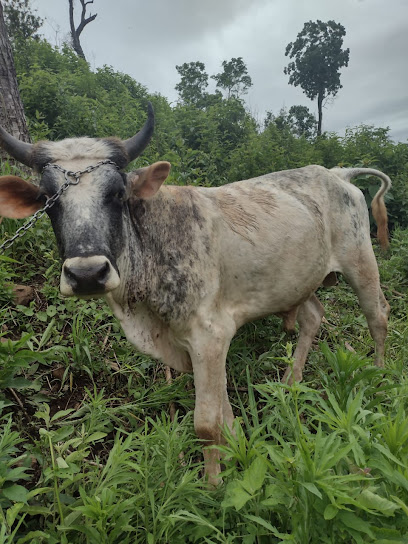 AF1QipOTr2eZWIcPpbr3fHZ17YrVjqjuNrBosMTwawqrw408 h544 k no