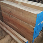 AF1QipOWh HkXkmihRDN6PSumBOPRvwGQEIUX wYWjcVw408 h725 k no 1