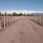 Terra del Sud S.A. Maderas - Perdriel 9 AF1QipO qeE0azzj0Fr8hEHkuJPdxkLciRYuwvGGA9zUw408 h408 k no