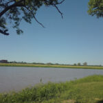 AF1QipOaSOtApiy7bDyKJDsxOSFcLz 74qZkUESb3zDtw408 h306 k no