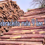 AF1QipOg9bzx0he9zPjgu XBoAfZ C1 Z4gFmjIsW85Tw426 h240 k no