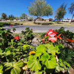 AF1QipOjcJjtOySdDzpGVgXUC8LTtYnKvRPOLtzmGCvAw408 h306 k no 1