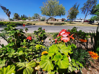 AF1QipOjcJjtOySdDzpGVgXUC8LTtYnKvRPOLtzmGCvAw408 h306 k no 1