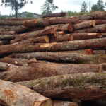 AF1QipOkKHVszNTRDPJMNSihjvB6c5sdSccWwgD5uFVZw426 h240 k no