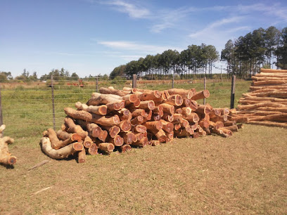 AF1QipOr0LaPZzm4api3JA2SV2 QaFbPqpqy2gaPLNlxw408 h306 k no