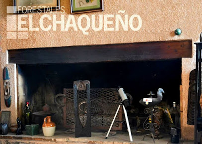 AF1QipP57L11qcQ6cCzVHD2R5xB o1gMl6FiWmz9UmPHw408 h291 k no