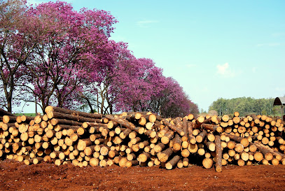 Tripayn Aserradero - Garruchos 1 AF1QipP5eZgK4WEx4xEvwPSwZq6kyI68Hpo2dkGwb0Ilw408 h273 k no