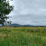 AF1QipP8qi7ho1E6sO77ueP8NJlSqFm5 oV6pBj1BkViw408 h306 k no 1