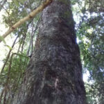 AF1QipPLd6M BXl3KhDu1oC02FPIIkKTFSe8XnbO9AHcw408 h544 k no