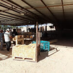 AF1QipPMsk4uRtrbZrQSR eQxXT1aI AMMJjO8kiP3jVw518 h240 k no