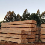 AF1QipPfB LugXJujVODs0ZNmKdwSBAwmvCtqk4pQn01w576 h240 k no