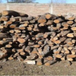 AF1QipPilbtd5C9RbzW7CAmkF6K47DTPdWJlCR1uRdjQw426 h240 k no